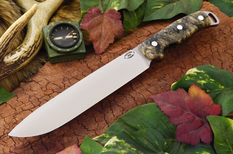 akc denali a2 california buckeye burl ksf 449.95