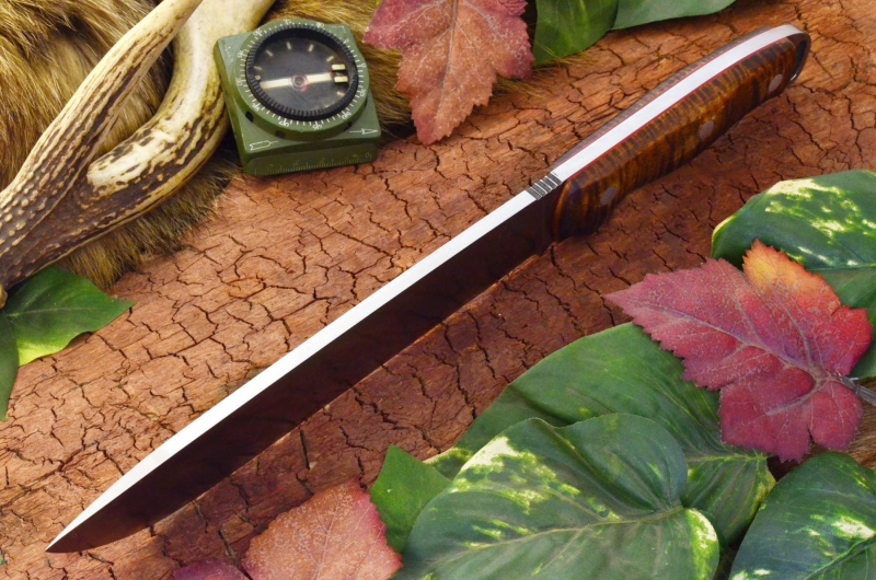 akc denali a2 dark curly maple red liners top shot ksf 389.95