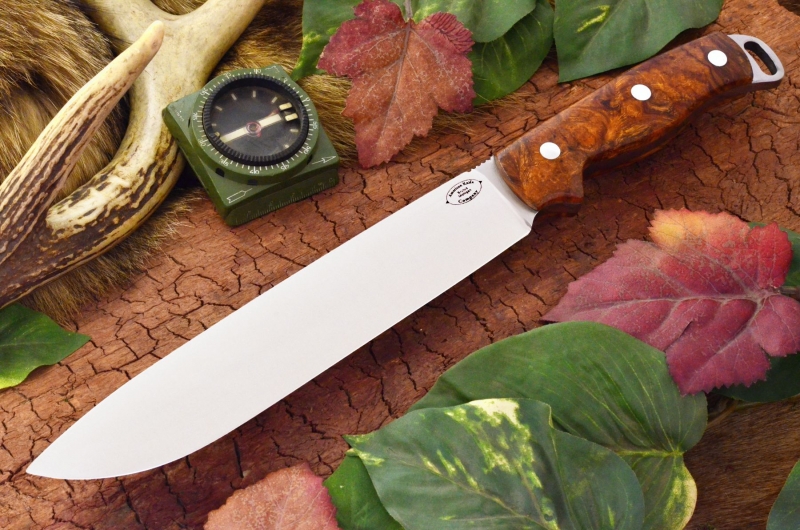 akc denali a2 desert ironwood burl dlt 449.95