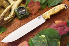 akc denali a2 curly birch burl 1 dlt 409.95