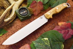 akc denali a2 curly birch burl 2 dlt 409.95