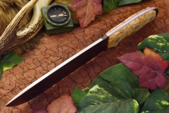 akc denali a2 curly birch red liners top shot ksf 429.95
