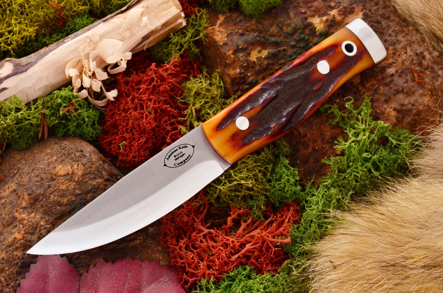 akc forest compact amber stag bone 359.95