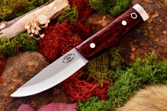akc forest compact cocobolo red liners 369.95