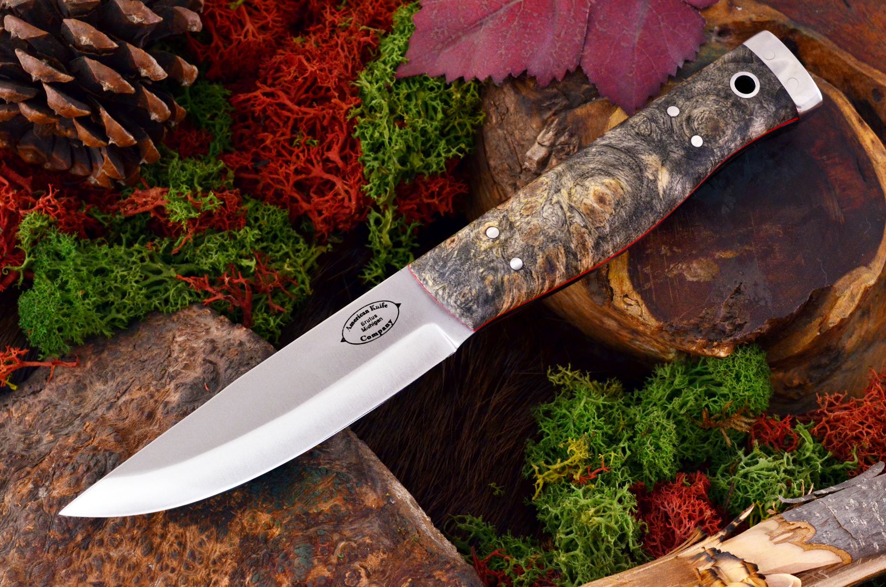 akc_forest_california_buckeye_burl_red_liners_ksf_449_95